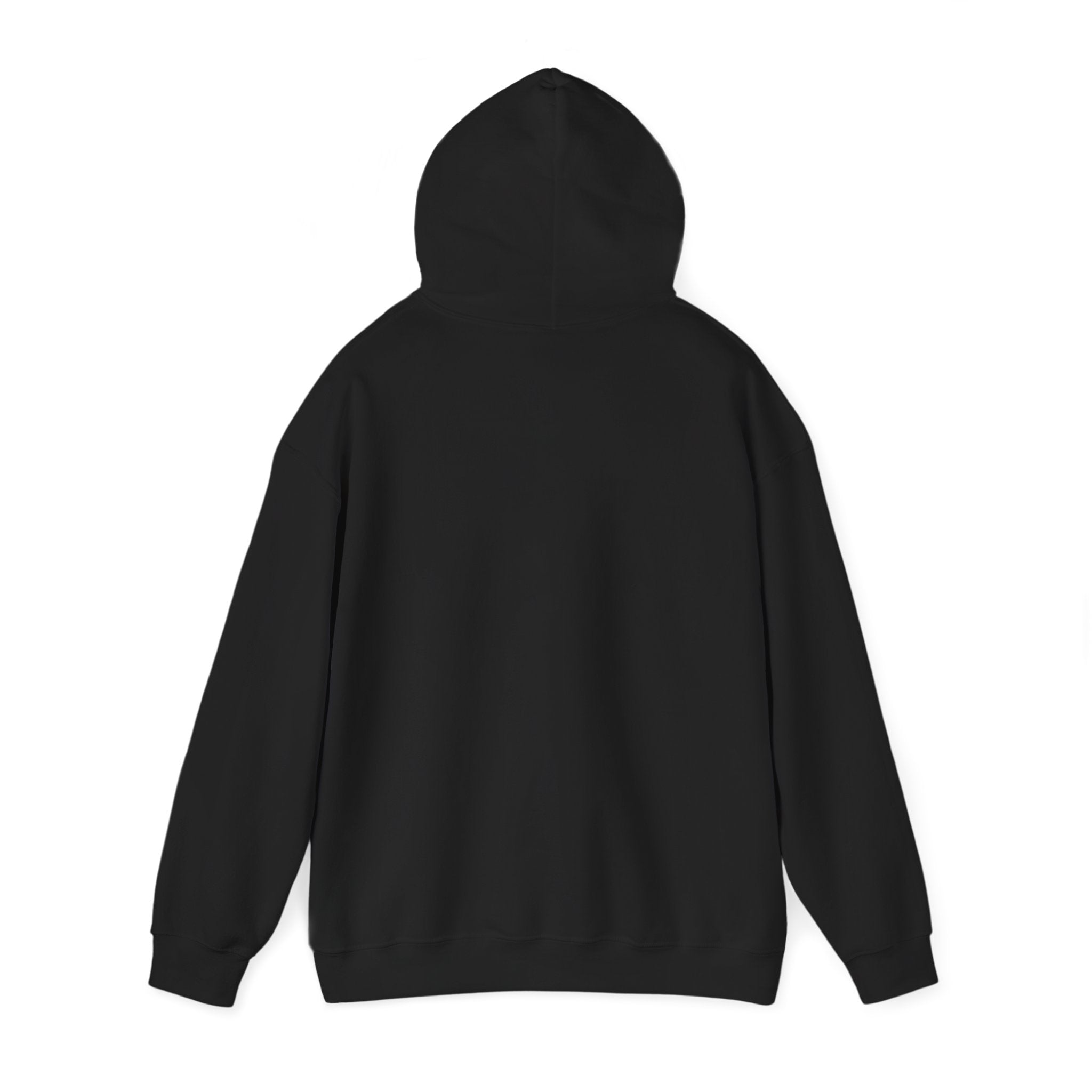Hoodie - "The New Day" Positive Graphic Pullover