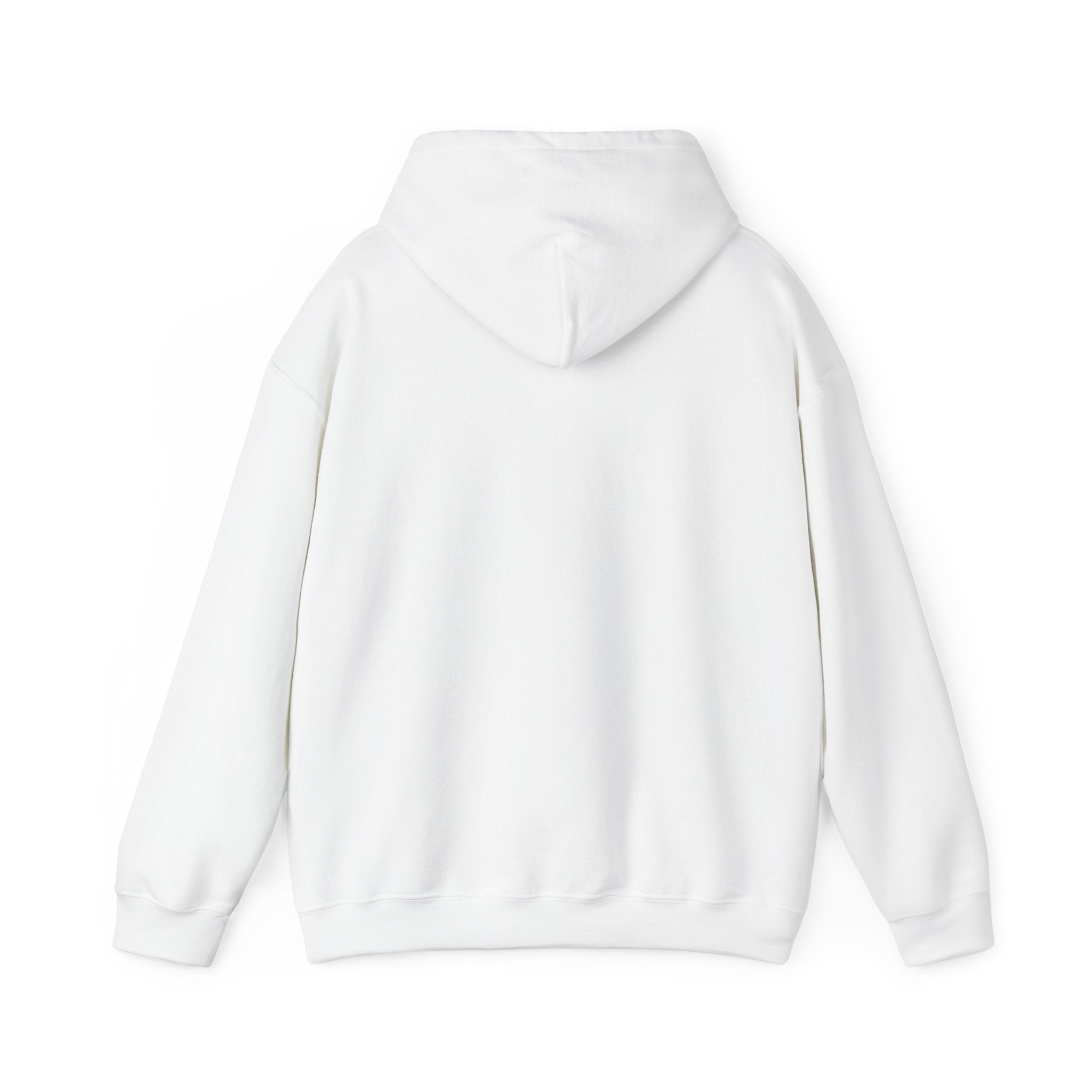 Hoodie - "The New Day" Positive Graphic Pullover