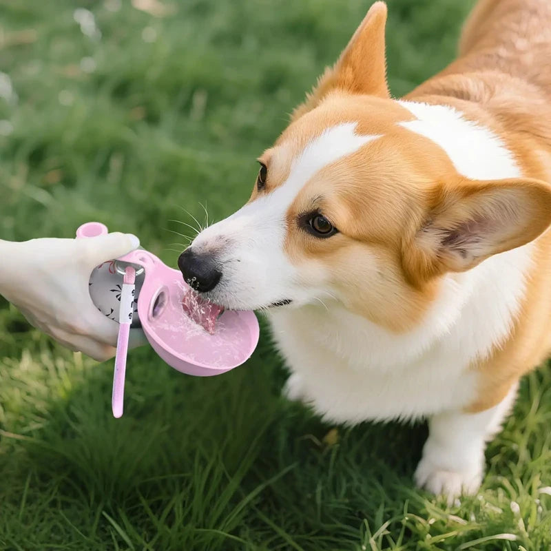 Collapsible Pet Water Bottle