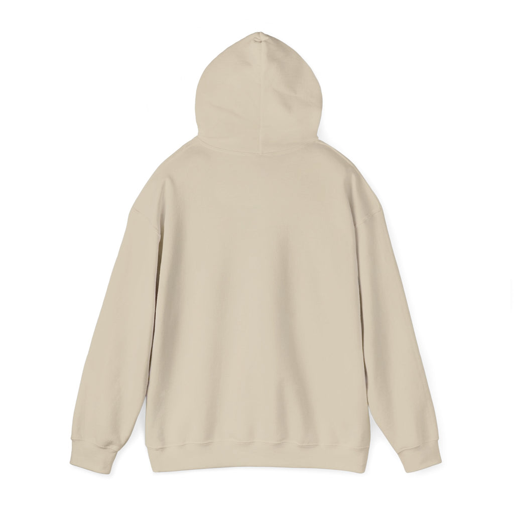Hoodie - "The New Day" Positive Graphic Pullover