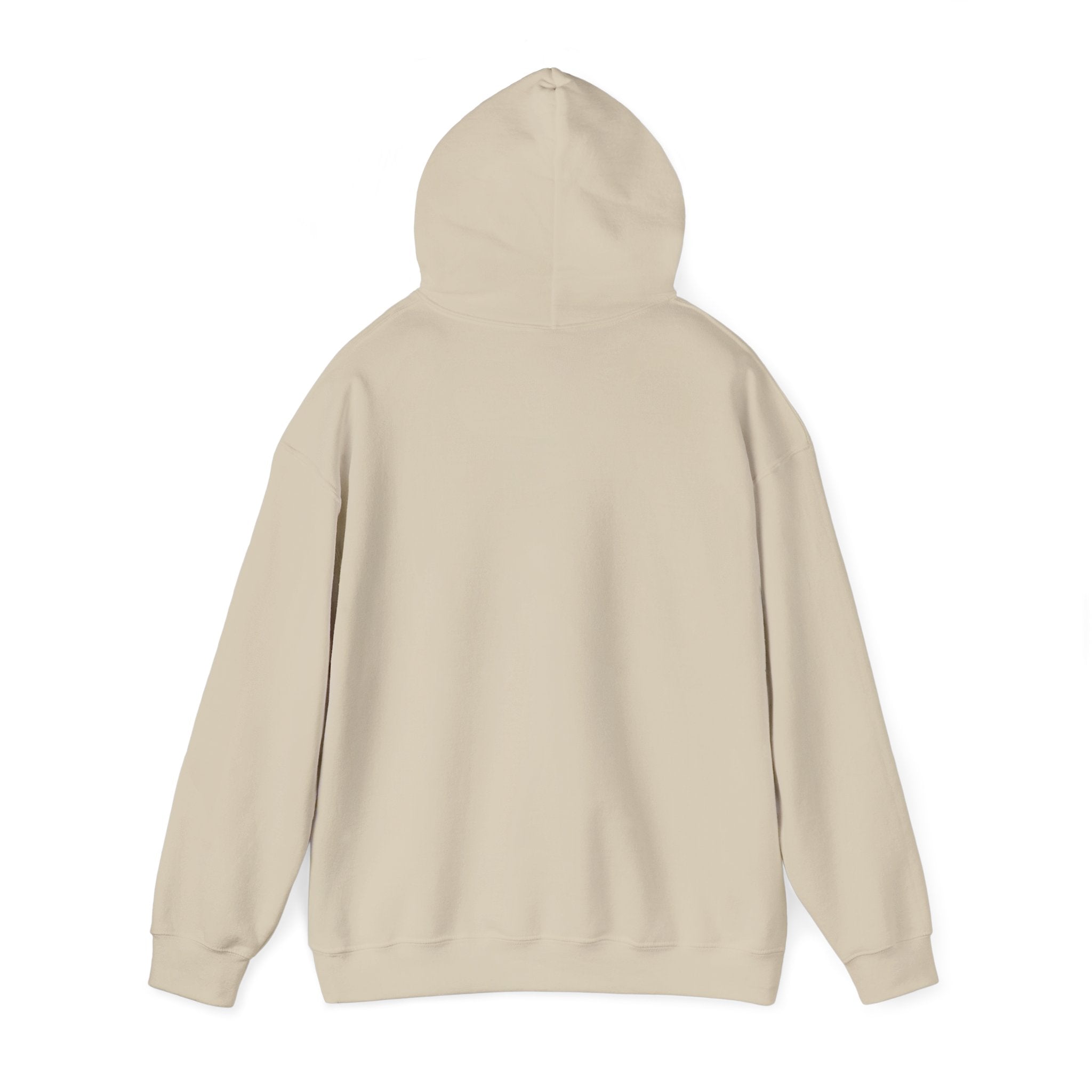 Hoodie - "The New Day" Positive Graphic Pullover