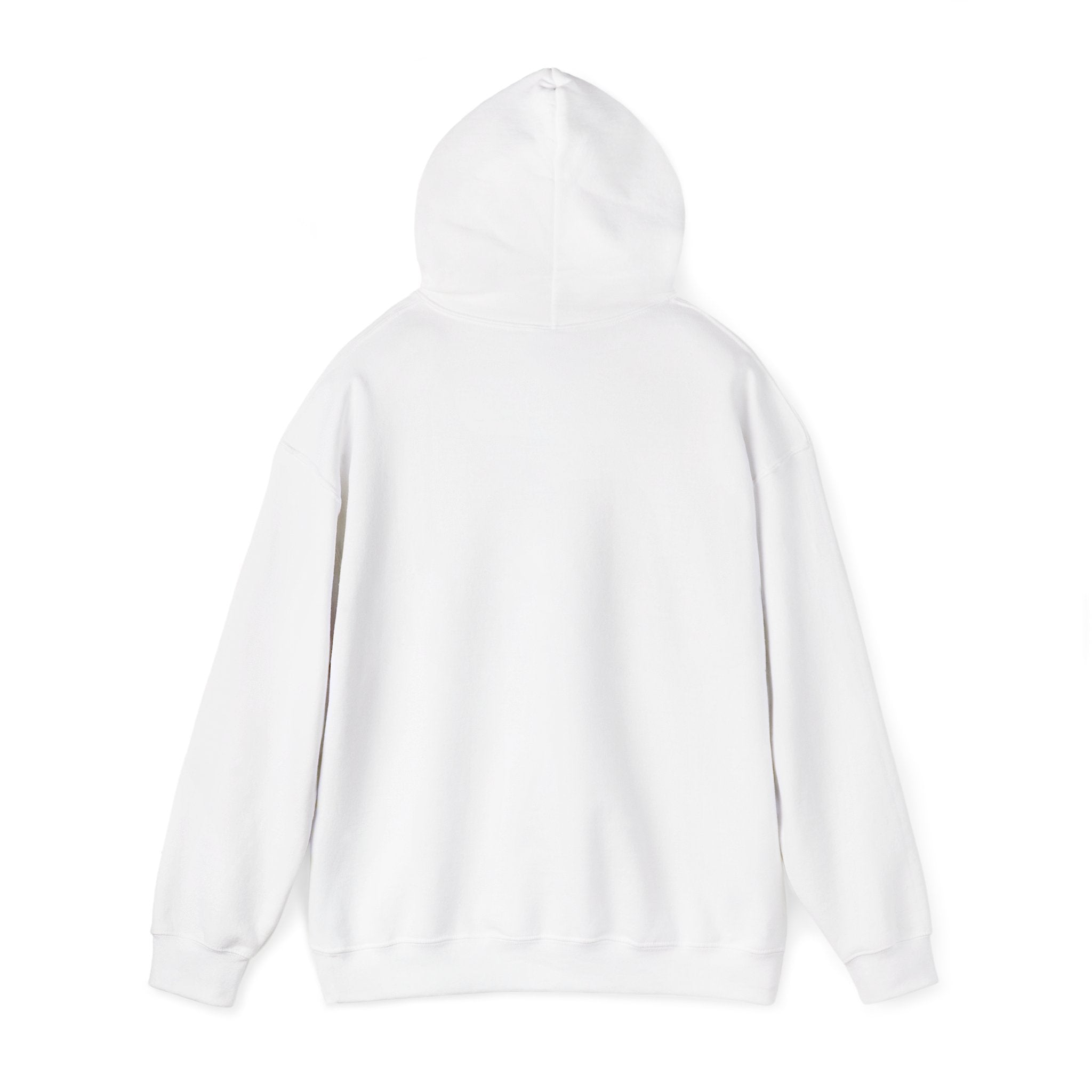 Hoodie - "The New Day" Positive Graphic Pullover