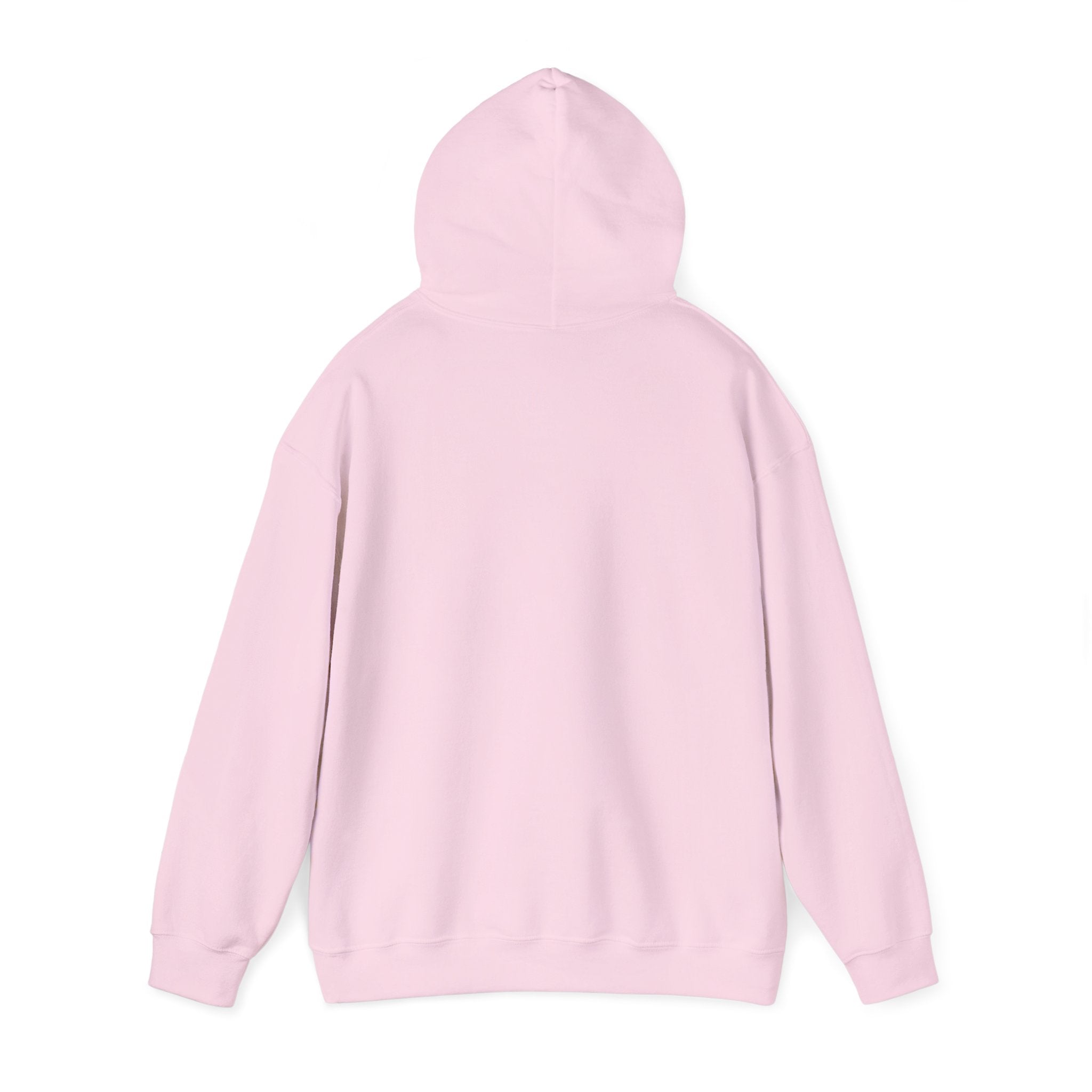 Hoodie - "The New Day" Positive Graphic Pullover